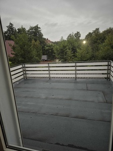 20250901_075108.jpg